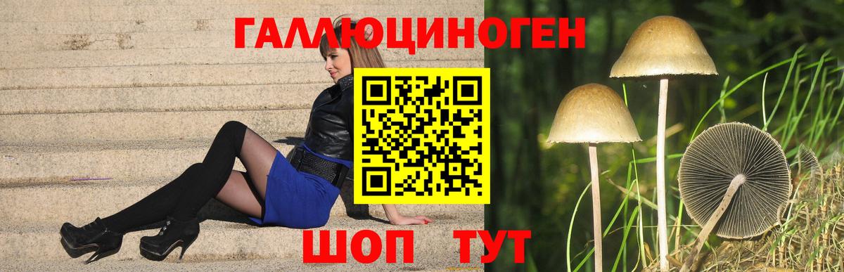 Галлюциногенные грибы Psilocybe Волжский