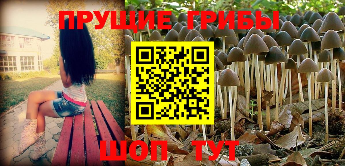Галлюциногенные грибы MAGIC MUSHROOMS  Вход с VPN  хочу   Волжский 